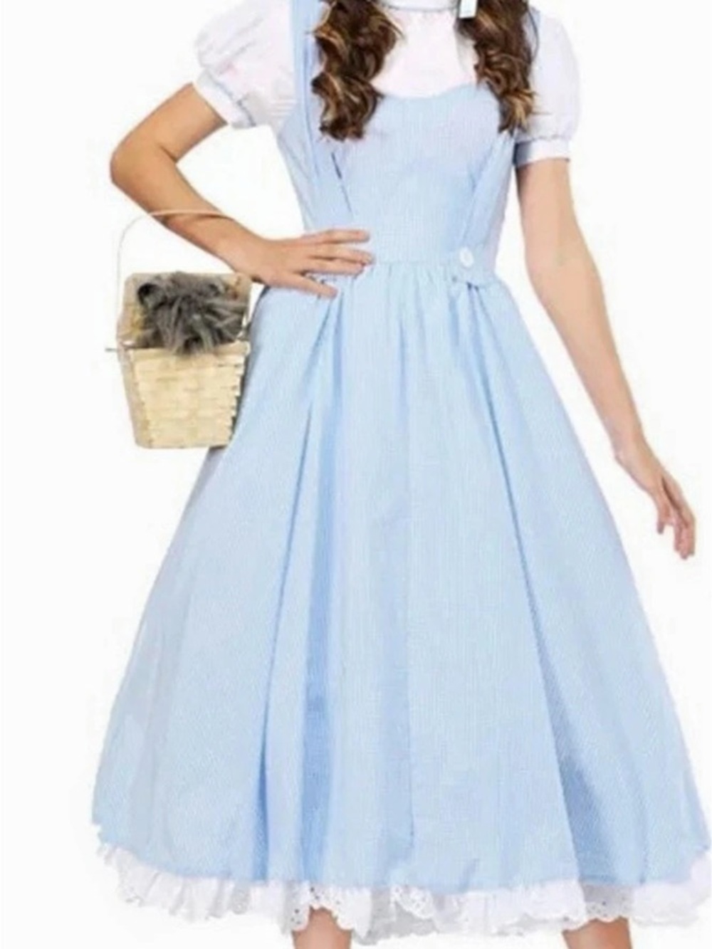 Dorothy midi dress/costume